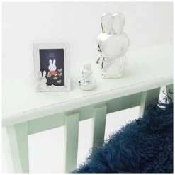 Zilverstad Nijntje Spaarpot -Speelgoed & Boeken Deals 116991 1169910013 3