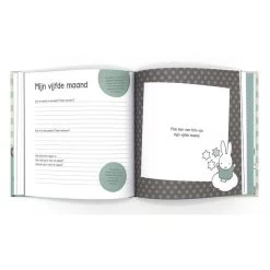 Nijntje Invulboek Eerste Jaar - Mint -Speelgoed & Boeken Deals 132555 1325550046 4