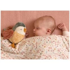 Little Dutch Giftset Flowers & Butterflies -Speelgoed & Boeken Deals 139254 1392540055 5