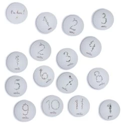 Mushie Milestone Cards / Mijlpaalkaarten