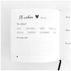 Zwanger - Mijn 9 Maanden Dagboek -Speelgoed & Boeken Deals 1458130011 3